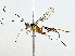  ( - BIOUG89998-G02)  @11 [ ] CreativeCommons - Attribution (2022) CBG Photography Group Centre for Biodiversity Genomics