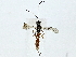  ( - BIOUG89998-G07)  @13 [ ] CreativeCommons - Attribution (2022) CBG Photography Group Centre for Biodiversity Genomics