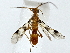 ( - BIOUG89998-G10)  @11 [ ] CreativeCommons - Attribution (2022) CBG Photography Group Centre for Biodiversity Genomics