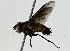 ( - BIOUG89999-B02)  @11 [ ] CreativeCommons - Attribution (2022) CBG Photography Group Centre for Biodiversity Genomics