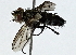  ( - BIOUG89999-B05)  @11 [ ] CreativeCommons - Attribution (2022) CBG Photography Group Centre for Biodiversity Genomics