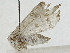  ( - BIOUG89999-D02)  @11 [ ] CreativeCommons - Attribution (2022) CBG Photography Group Centre for Biodiversity Genomics