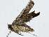  ( - BIOUG89999-D05)  @11 [ ] CreativeCommons - Attribution (2022) CBG Photography Group Centre for Biodiversity Genomics