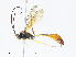  (ichJanzen01 Janzen7438 - CBG-A08770-A06)  @11 [ ] CreativeCommons - Attribution Share - Alike (2023) CBG Photography Group Centre for Biodiversity Genomics