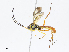  (atroMalaise01 Malaise4182 - CBG-A08770-A07)  @11 [ ] CreativeCommons - Attribution Share - Alike (2023) CBG Photography Group Centre for Biodiversity Genomics