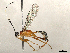 ( - CBG-A08771-A02)  @11 [ ] CreativeCommons - Attribution Share - Alike (2023) CBG Photography Group Centre for Biodiversity Genomics