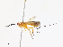  ( - CBG-A08771-A03)  @11 [ ] CreativeCommons - Attribution Share - Alike (2023) CBG Photography Group Centre for Biodiversity Genomics