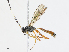  ( - CBG-A08771-C02)  @11 [ ] CreativeCommons - Attribution Share - Alike (2023) CBG Photography Group Centre for Biodiversity Genomics