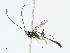  ( - CBG-A08771-D11)  @11 [ ] CreativeCommons - Attribution Share - Alike (2023) CBG Photography Group Centre for Biodiversity Genomics