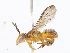  ( - CBG-A08771-H04)  @11 [ ] CreativeCommons - Attribution Share - Alike (2023) CBG Photography Group Centre for Biodiversity Genomics