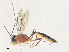  ( - CBG-A38422-D04)  @11 [ ] CreativeCommons - Attribution Share - Alike (2024) CBG Photography Group Centre for Biodiversity Genomics