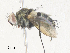  ( - CBG-A38423-F01)  @11 [ ] CreativeCommons - Attribution Share - Alike (2024) CBG Photography Group Centre for Biodiversity Genomics
