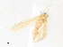  ( - CBG-A38517-E09)  @11 [ ] CreativeCommons - Attribution Share - Alike (2024) CBG Photography Group Centre for Biodiversity Genomics