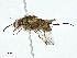  ( - BIOUG95283-H02)  @11 [ ] CreativeCommons - Attribution (2023) CBG Photography Group Centre for Biodiversity Genomics