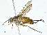  ( - BIOUG95283-H04)  @11 [ ] CreativeCommons - Attribution (2023) CBG Photography Group Centre for Biodiversity Genomics