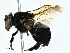  ( - BIOUG97740-A05)  @11 [ ] CreativeCommons - Attribution (2023) CBG Photography Group Centre for Biodiversity Genomics