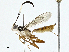  ( - BIOUG97740-E07)  @11 [ ] CreativeCommons - Attribution (2023) CBG Photography Group Centre for Biodiversity Genomics