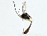  ( - BIOUG97740-E08)  @11 [ ] CreativeCommons - Attribution (2023) CBG Photography Group Centre for Biodiversity Genomics