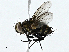  ( - BIOUG97740-G09)  @11 [ ] CreativeCommons - Attribution (2023) CBG Photography Group Centre for Biodiversity Genomics