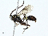  ( - BIOUG97741-E10)  @11 [ ] CreativeCommons - Attribution (2023) CBG Photography Group Centre for Biodiversity Genomics