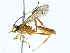  ( - BIOUG97741-F06)  @11 [ ] CreativeCommons - Attribution (2023) CBG Photography Group Centre for Biodiversity Genomics