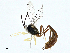  ( - BIOUG97741-F07)  @11 [ ] CreativeCommons - Attribution (2023) CBG Photography Group Centre for Biodiversity Genomics