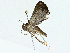 ( - BIOUG97741-H01)  @11 [ ] CreativeCommons - Attribution (2023) CBG Photography Group Centre for Biodiversity Genomics