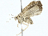  ( - BIOUG97741-H07)  @11 [ ] CreativeCommons - Attribution (2023) CBG Photography Group Centre for Biodiversity Genomics