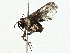  ( - BIOUG97744-B01)  @11 [ ] CreativeCommons - Attribution (2023) CBG Photography Group Centre for Biodiversity Genomics
