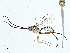  ( - BIOUG97744-G05)  @13 [ ] CreativeCommons - Attribution (2023) CBG Photography Group Centre for Biodiversity Genomics