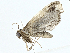  ( - BIOUG99525-E06)  @11 [ ] CreativeCommons - Attribution (2023) CBG Photography Group Centre for Biodiversity Genomics