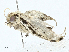  ( - BIOUG99525-E09)  @11 [ ] CreativeCommons - Attribution (2023) CBG Photography Group Centre for Biodiversity Genomics