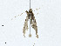  (cramMalaise01 Malaise4494 - CBG-A00286-B11)  @11 [ ] CreativeCommons - Attribution (2023) CBG Photography Group Centre for Biodiversity Genomics
