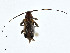  ( - CBG-A00287-E01)  @11 [ ] CreativeCommons - Attribution (2023) CBG Photography Group Centre for Biodiversity Genomics