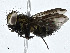  ( - CBG-A00287-F11)  @11 [ ] CreativeCommons - Attribution (2023) CBG Photography Group Centre for Biodiversity Genomics