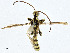 ( - CBG-A00288-A06)  @11 [ ] CreativeCommons - Attribution (2023) CBG Photography Group Centre for Biodiversity Genomics