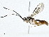  ( - CBG-A00288-B07)  @11 [ ] CreativeCommons - Attribution (2023) CBG Photography Group Centre for Biodiversity Genomics