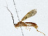  ( - CBG-A00288-C11)  @11 [ ] CreativeCommons - Attribution (2023) CBG Photography Group Centre for Biodiversity Genomics