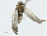  ( - CBG-A00288-E12)  @11 [ ] CreativeCommons - Attribution (2023) CBG Photography Group Centre for Biodiversity Genomics