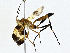  ( - CBG-A00354-A03)  @11 [ ] CreativeCommons - Attribution (2023) CBG Photography Group Centre for Biodiversity Genomics