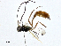  ( - CBG-A00354-B05)  @11 [ ] CreativeCommons - Attribution (2023) CBG Photography Group Centre for Biodiversity Genomics