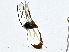  ( - CBG-A00354-D07)  @11 [ ] CreativeCommons - Attribution (2023) CBG Photography Group Centre for Biodiversity Genomics