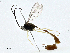  ( - CBG-A00354-D09)  @11 [ ] CreativeCommons - Attribution (2023) CBG Photography Group Centre for Biodiversity Genomics
