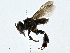  ( - CBG-A00354-D11)  @11 [ ] CreativeCommons - Attribution (2023) CBG Photography Group Centre for Biodiversity Genomics