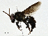  ( - CBG-A00354-F01)  @11 [ ] CreativeCommons - Attribution (2023) CBG Photography Group Centre for Biodiversity Genomics