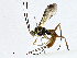  ( - CBG-A00354-F04)  @11 [ ] CreativeCommons - Attribution (2023) CBG Photography Group Centre for Biodiversity Genomics