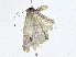  ( - CBG-A00354-G04)  @11 [ ] CreativeCommons - Attribution (2023) CBG Photography Group Centre for Biodiversity Genomics