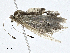  ( - CBG-A00354-G05)  @11 [ ] CreativeCommons - Attribution (2023) CBG Photography Group Centre for Biodiversity Genomics