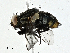  ( - CBG-A00355-C01)  @11 [ ] CreativeCommons - Attribution (2023) CBG Photography Group Centre for Biodiversity Genomics