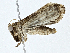  ( - CBG-A00356-D11)  @11 [ ] CreativeCommons - Attribution (2023) CBG Photography Group Centre for Biodiversity Genomics